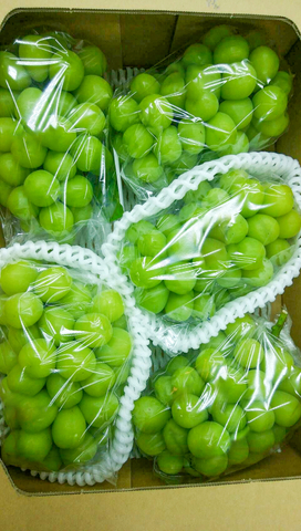 Anti Fog Additives Prevent Fogging in Plastic Food Packaging