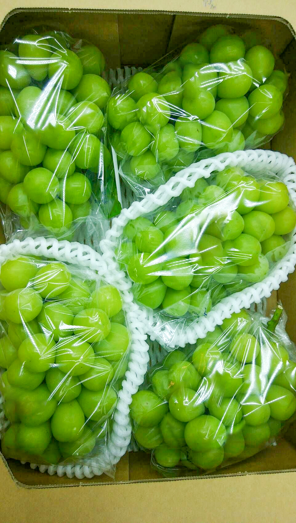 Anti Fog Additives Prevent Fogging in Plastic Food Packaging